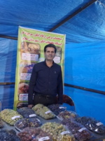 برگزاری دومین جشنواره ملی انگور جهان در ملایر