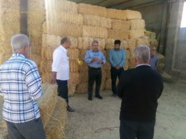 برگزاری دوره آموزشی دوره بهسازی و نوسازی جایگاه دام در شهرستان کبودرآهنگ