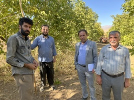 بازدید میدانی رئیس مرکز تحقیقات کشاورزی همدان از قطب‌های نهال و انگور استان در شهرستانهای تویسرکان و ملایر