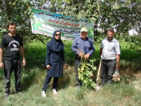 برگزاری کارگاه آموزشی مدیریت تلفیقی بیماری‌ها و علف‌های هرز سیب‌زمینی در شهرستان بهار