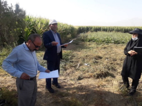 بازدید رئیس مرکز تحقیقات کشاورزی همدان از پروژه‌های تحقیقاتی ایستگاه تحقیقاتی لک لک اسدآباد