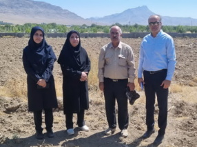 بازدید کمیته فنی نهال استان همدان از باغ مادری انگور ملایر