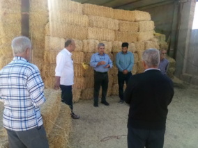 برگزاری دوره آموزشی دوره بهسازی و نوسازی جایگاه دام در شهرستان کبودرآهنگ