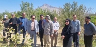 بازدید میدانی از باغ انگور در شهرستان ملایر