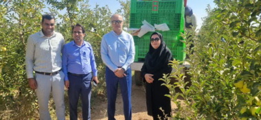 بازدید میدانی تیم کارشناسی از باغ سیب و سردخانه رزن برای انتخاب «باغدار نمونه کشوری»