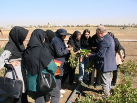 دومین بازدید علمی دانشجویان کشاورزی بوعلی سینا از ایستگاه تحقیقاتی اکباتان