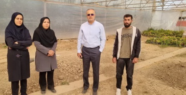 بازدید اعضای کمیته فنی نهال از محل احداث  نهالستان در شهرستان رزن