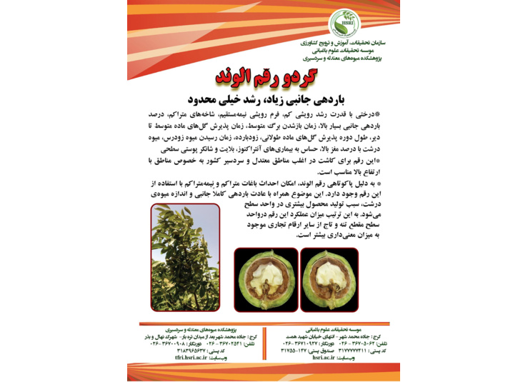 فن بازار