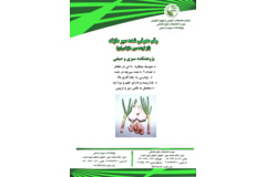 فن بازار