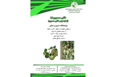 فن بازار