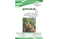 فن بازار