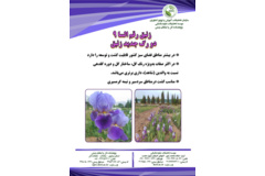 فن بازار