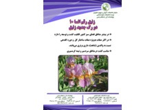 فن بازار