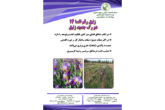 فن بازار