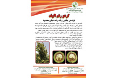 فن بازار