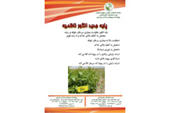 فن بازار