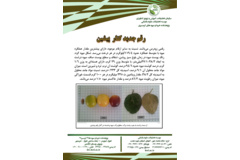 فن بازار