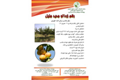 فن بازار