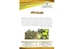 فن بازار