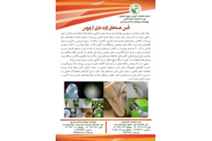 فن بازار
