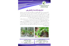 فن بازار