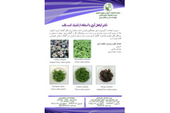 فن بازار