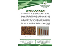 فن بازار