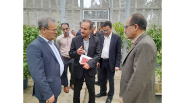بازدید معاون وزیر و رئیس سازمان تحقیقات، آموزش و ترویج کشاورزی  از پژوهشکده مرکبات و میوه‌های نیمه‌گرمسیری