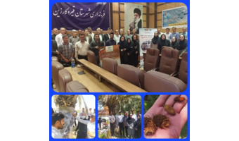 کارگاه آموزشی ترویجی تئوری ـ عملی مدیریت آفت سرخرطومی حنایی و خشکیدگی خوشه خرما و بازدید میدانی از نخلستان های شهرستان قیروکارزین در استان فارس