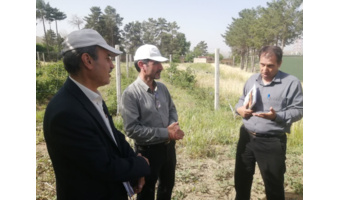 بازدید رئیس موسسه تحقیقات علوم باغبانی از برنامه‌های پژوهشی حوزه باغبانی استان کردستان