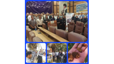 کارگاه آموزشی ترویجی تئوری ـ عملی مدیریت آفت سرخرطومی حنایی و خشکیدگی خوشه خرما و بازدید میدانی از نخلستان های شهرستان قیروکارزین در استان فارس