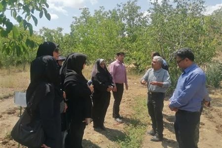 گزارش تصویری از بازدید از فعالیت زنان روستایی شهرستان گرمسار