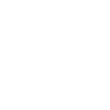 فیش حقوقی
