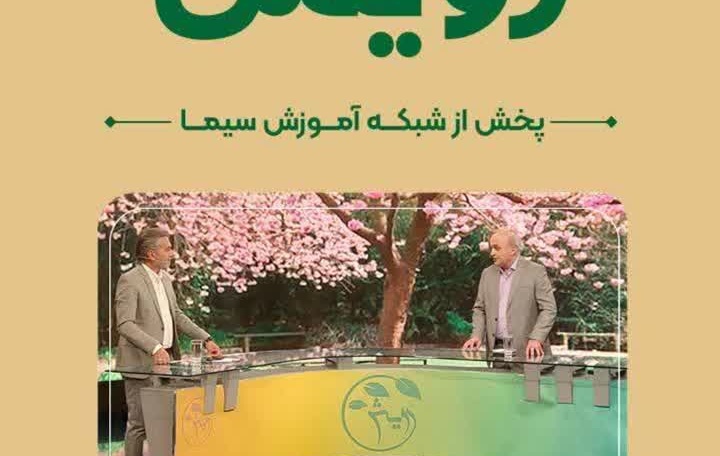 تولید پیاز