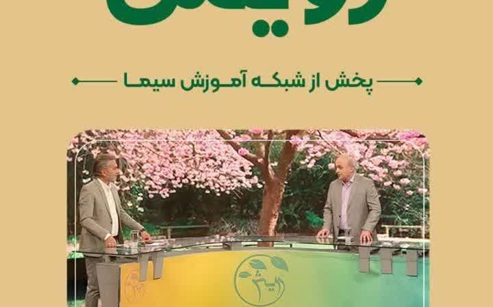 پرورش مرغ تخم گذار