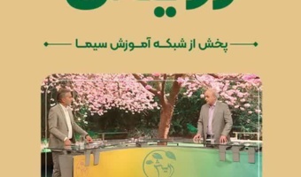 پرورش مرغ تخم گذار