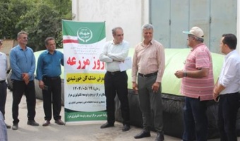 گزارش تصویری از روز مزرعه با محوریت معرفی خشک‌کن خورشیدی ارزان‌قیمت