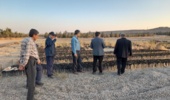 برگزاری تور ترویجی پژوهشگر مروجان ارشد موسسه آموزش و ترویج کشاورزی