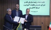جاوید صحرایی به عنوان مشاور رییس موسسه و سرپرست اداره روابط عمومی منصوب شد