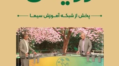 پرورش مرغ تخم گذار