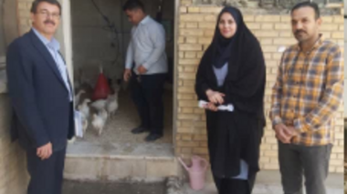 از پروژه‌های آموزش همراه با تولید بازدید شد
