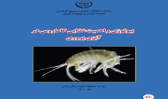 Publication of a promotional handbook by researchers of Shahid Motahari Yasouj center