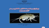 Publication of a promotional handbook by researchers of Shahid Motahari Yasouj center