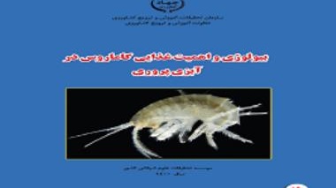 Publication of a promotional handbook by researchers of Shahid Motahari Yasouj center