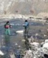  بررسی تنوع، فراوانی و زی‌‌توده جوامع ماکروبنتوز شاخه‌‌های رودخانه سیروان (سدژاوه- سنندج) (1403-1402)