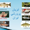 آبزی پروری