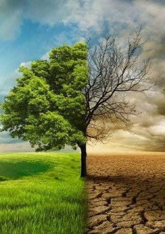 روز جهانی مبارزه با تغییرات اقلیمی