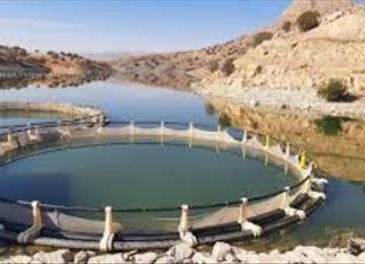 اسلایدر پایین