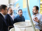 بازدید رؤسای پارک‌های علم‌وفناوری استان‌های ساحلی کشور از پژوهشکده آبزی‌پروری آب‌های جنوب کشور و تأکید بر معرفی دانش‌های فنی به‌دست‌آمده به بخش خصوصی با همکاری پارک علم‌وفناوری