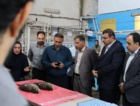 بازدید رؤسای پارک‌های علم‌وفناوری استان‌های ساحلی کشور از پژوهشکده آبزی‌پروری آب‌های جنوب کشور و تأکید بر معرفی دانش‌های فنی به‌دست‌آمده به بخش خصوصی با همکاری پارک علم‌وفناوری
